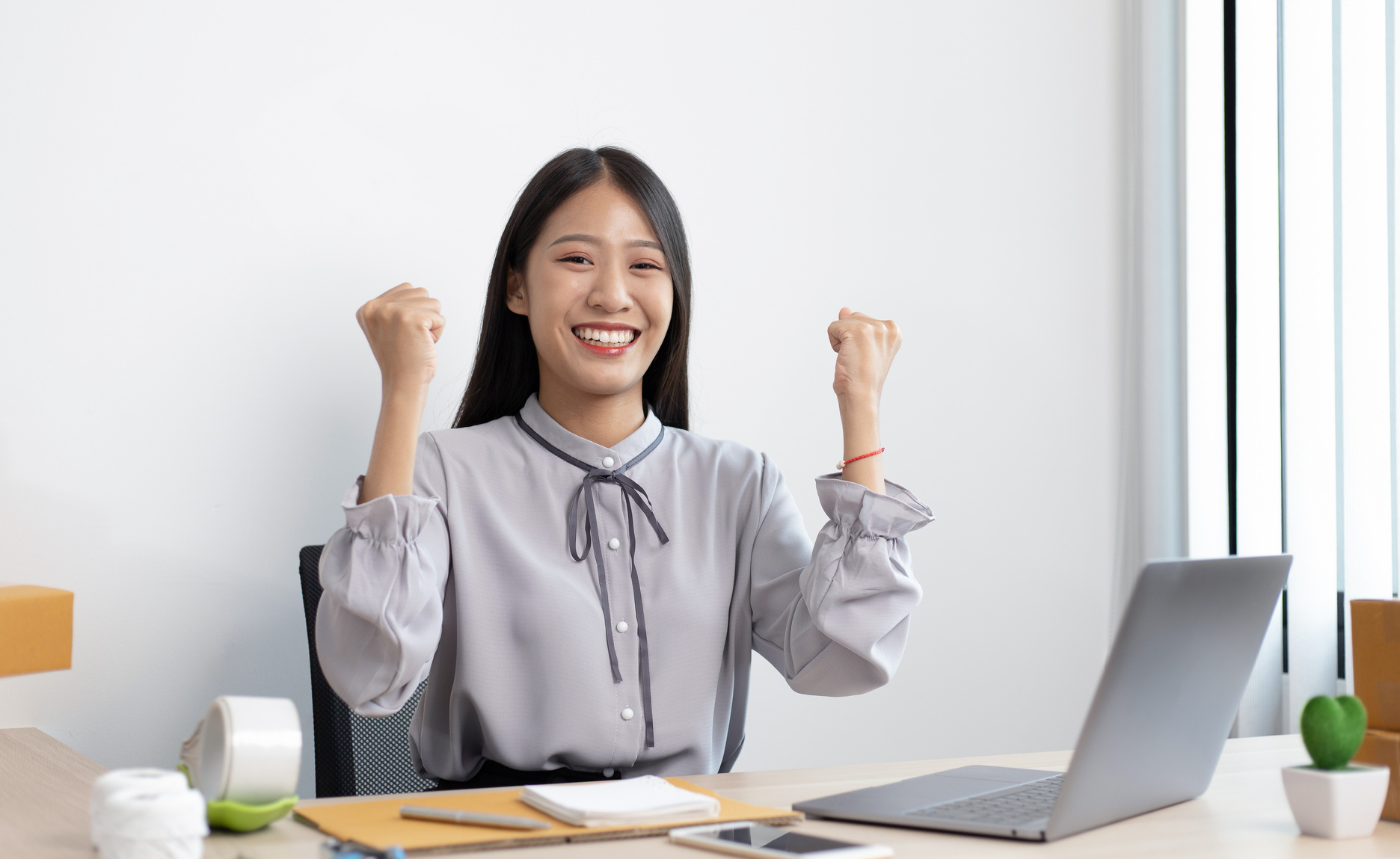 Successful Online Seller      